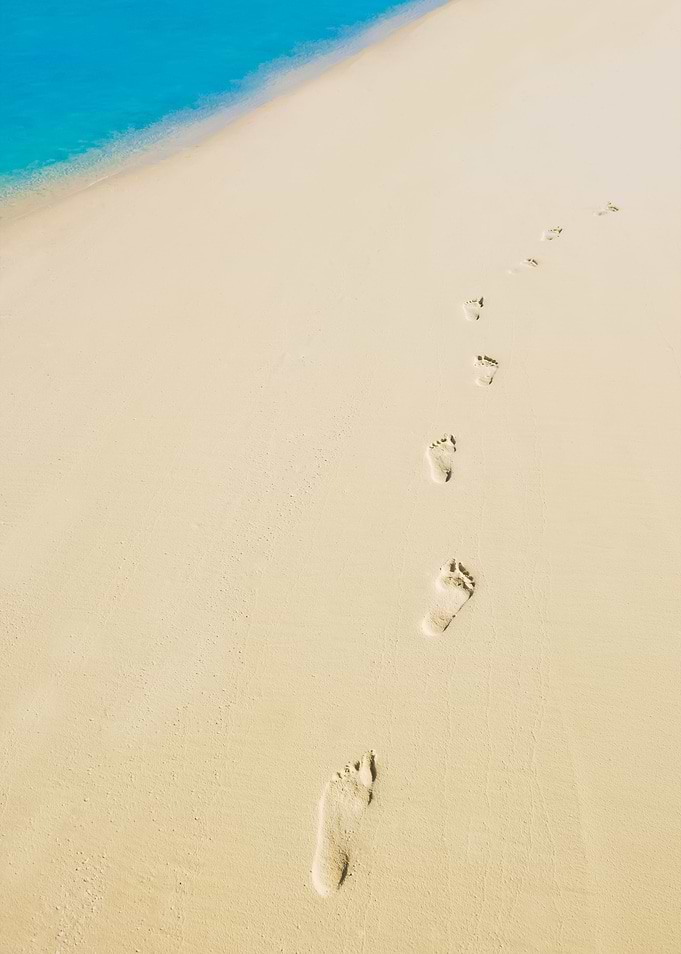 Tropical Beach