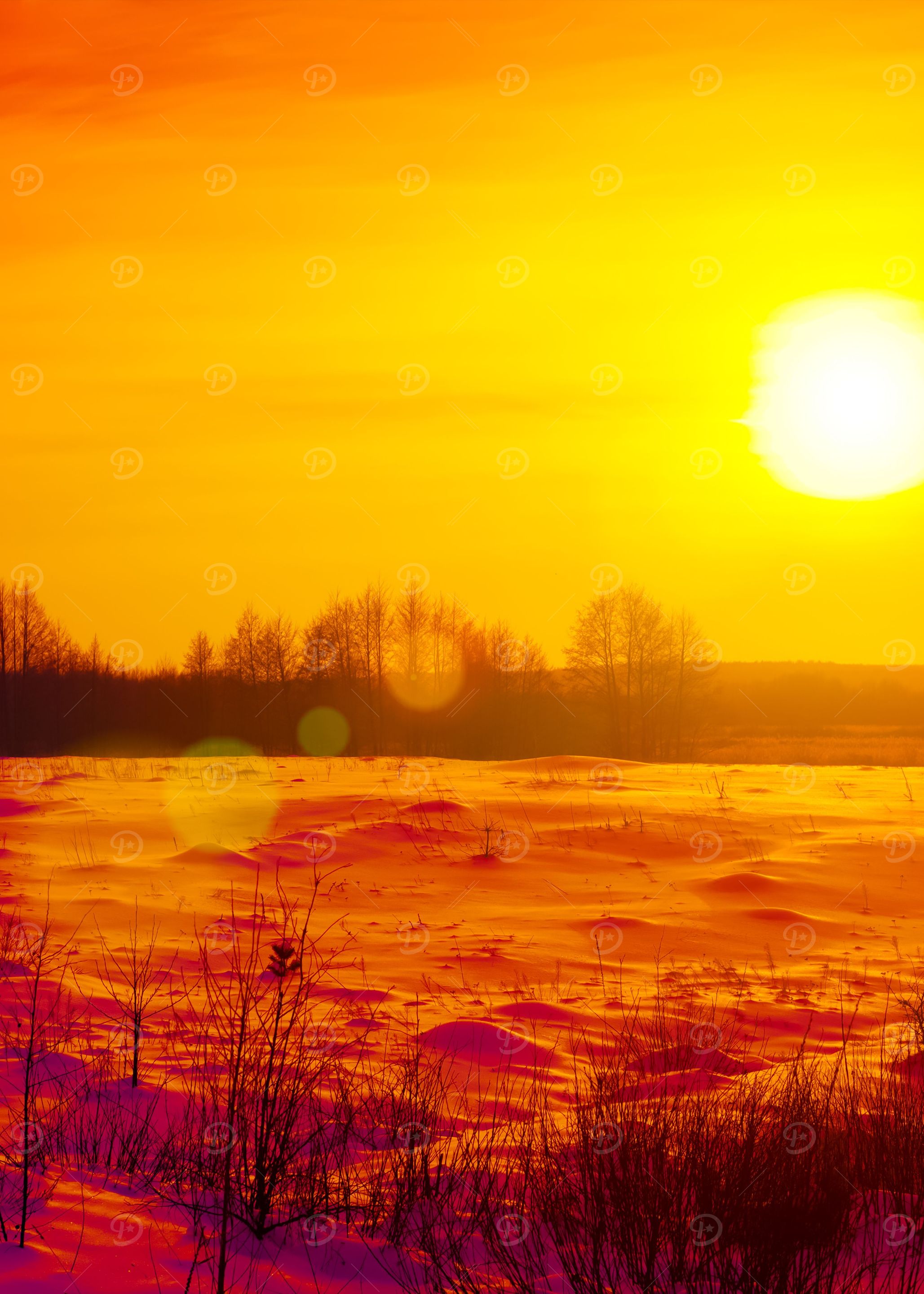 Beautiful Winter Sunset