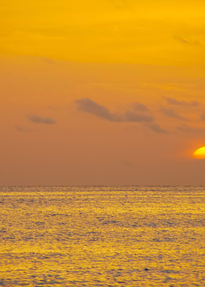 Beautiful Orange Sunset On