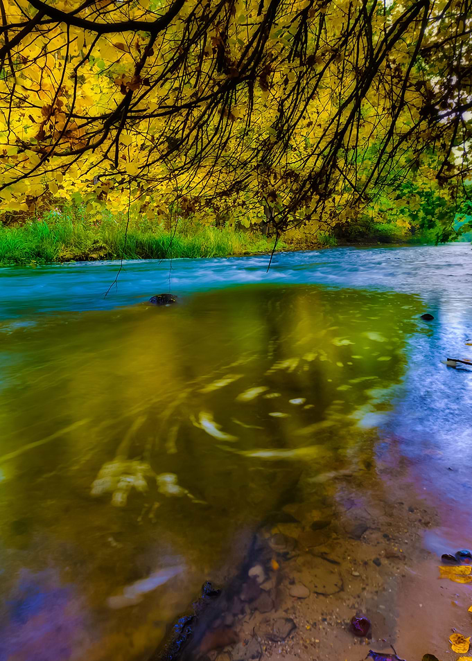 Wild River In Autumnal Col
