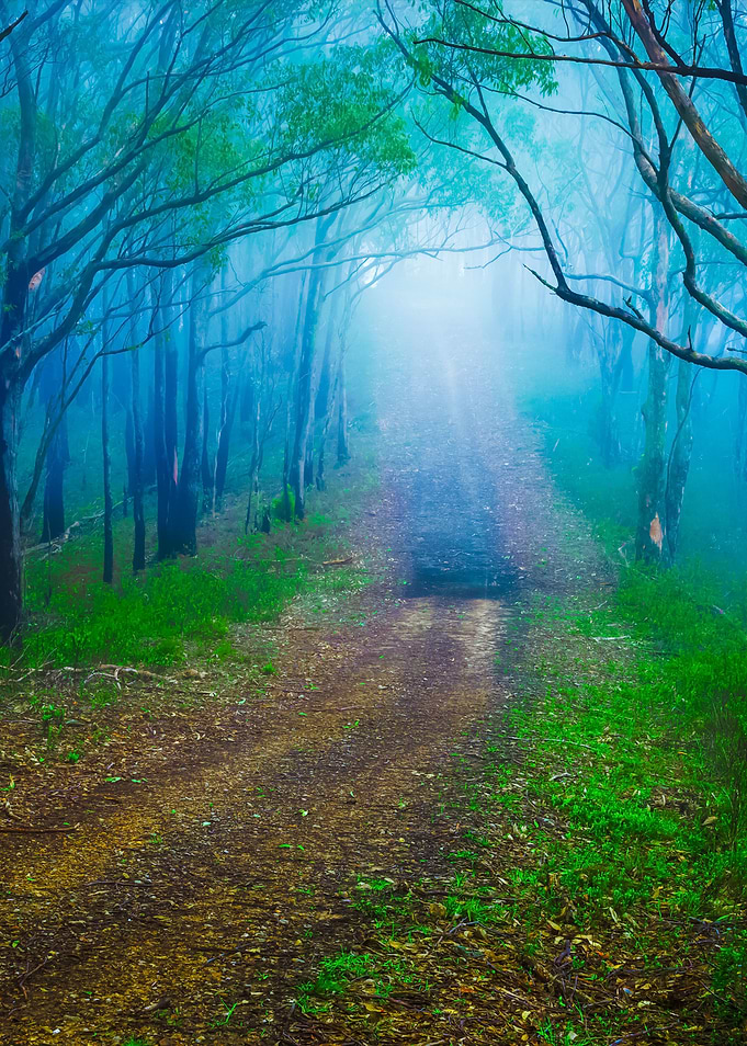 Misty Mood