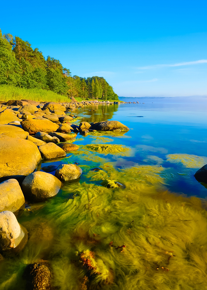 Rocks At The Coast Of Kasm