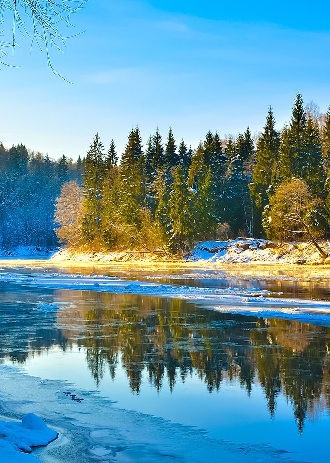 Gauja River Valley Winter