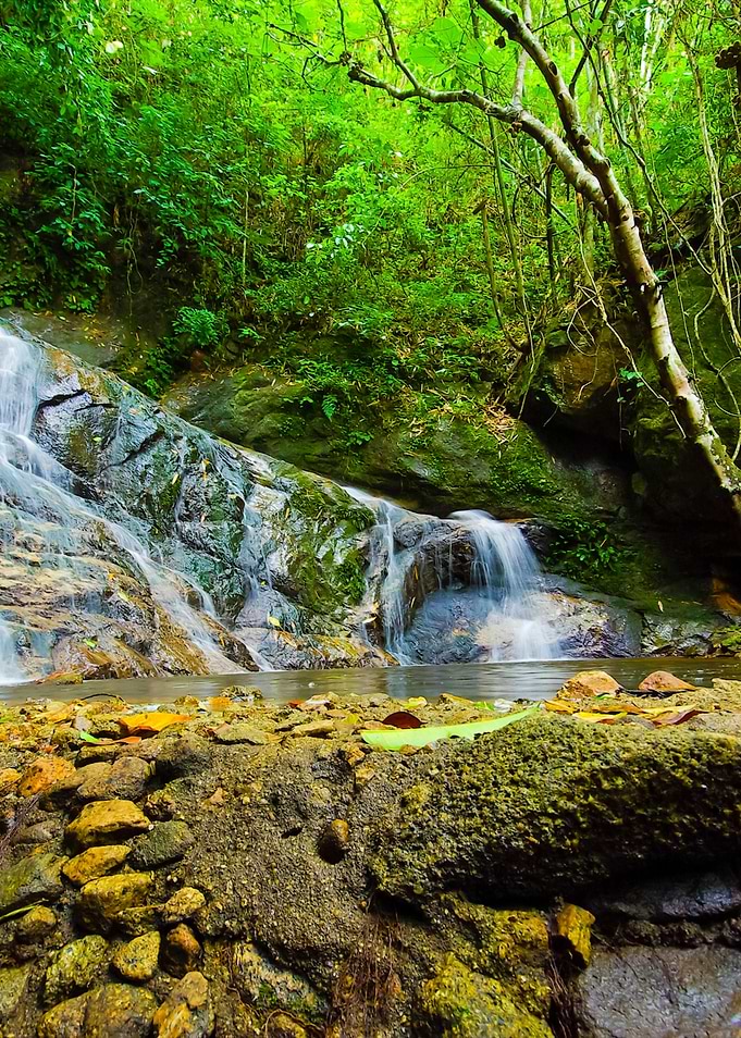 North Thailand Waterfall I