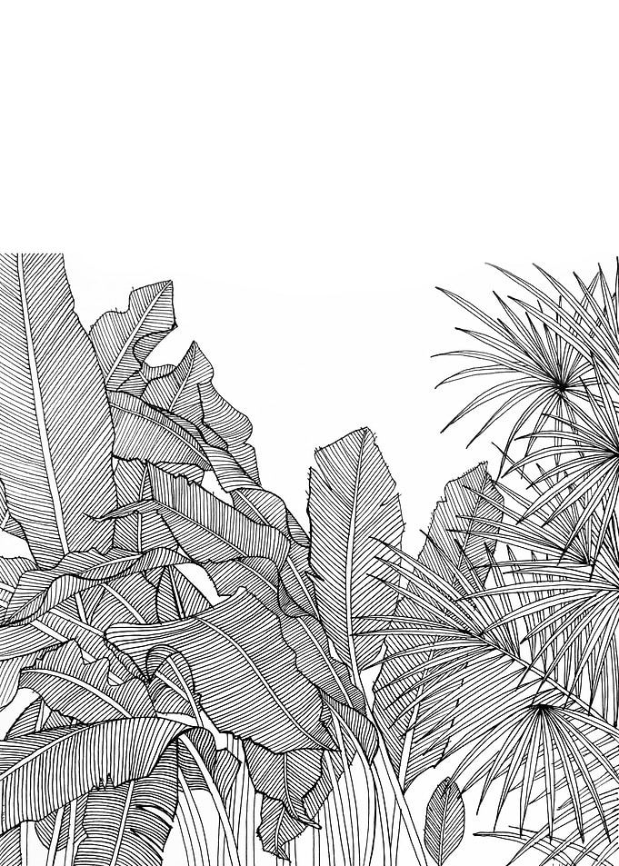 Line drawing black pen