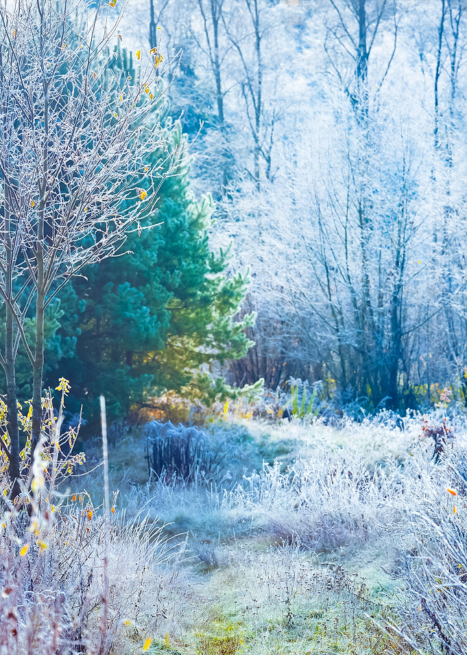 Landscape With The Frozen