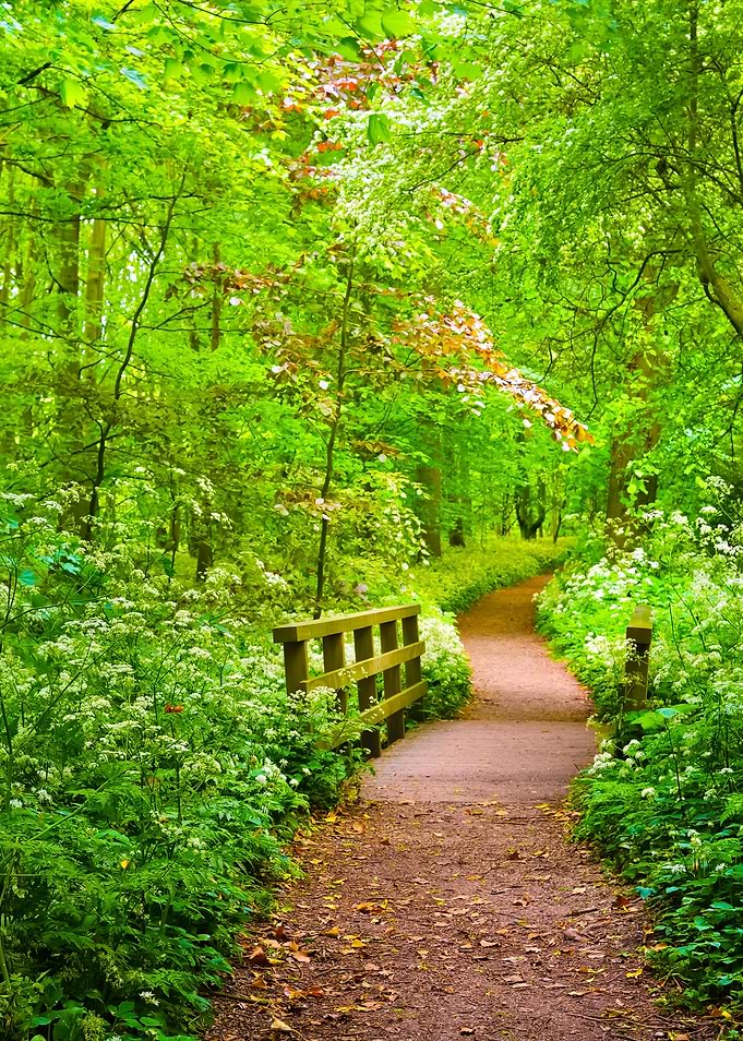Walkway In Stochemhoeve Fo