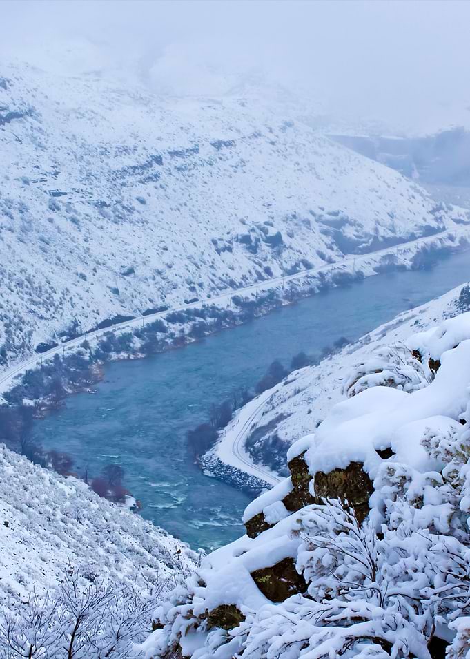 Snowfall Landscape