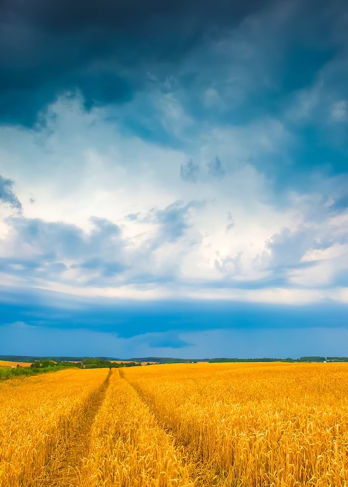 Stormy Sky Over Field
