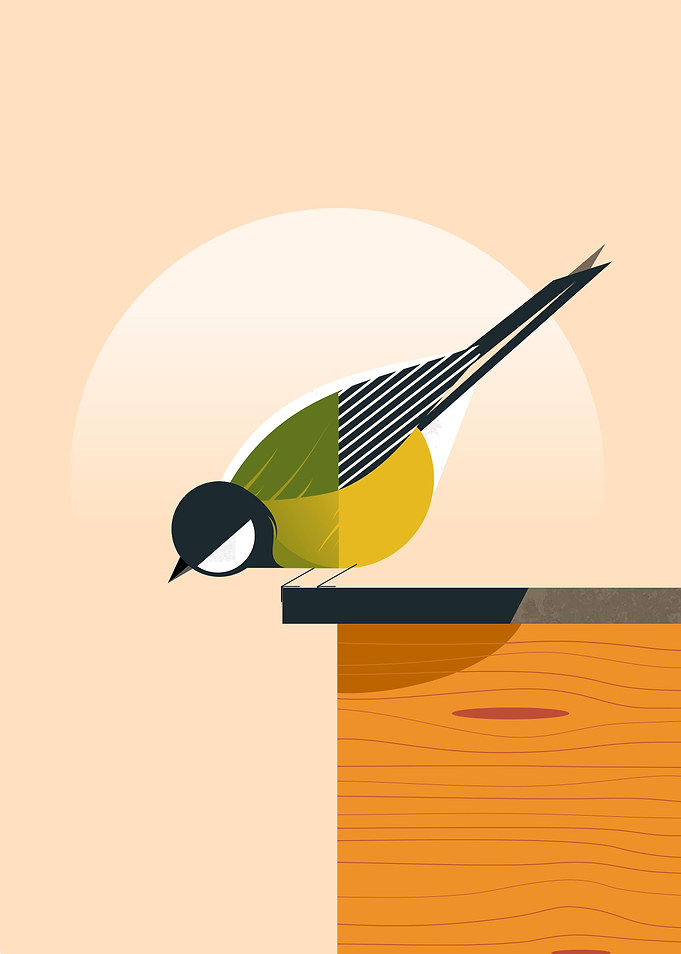 Tit Bird