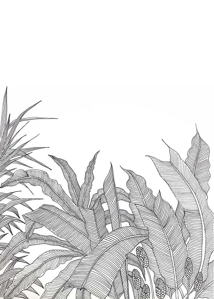 Line drawing black pen