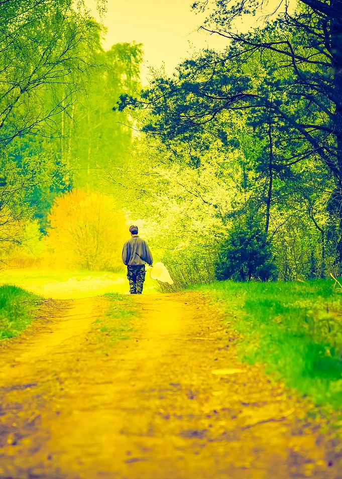 Man Walking By Forest Path