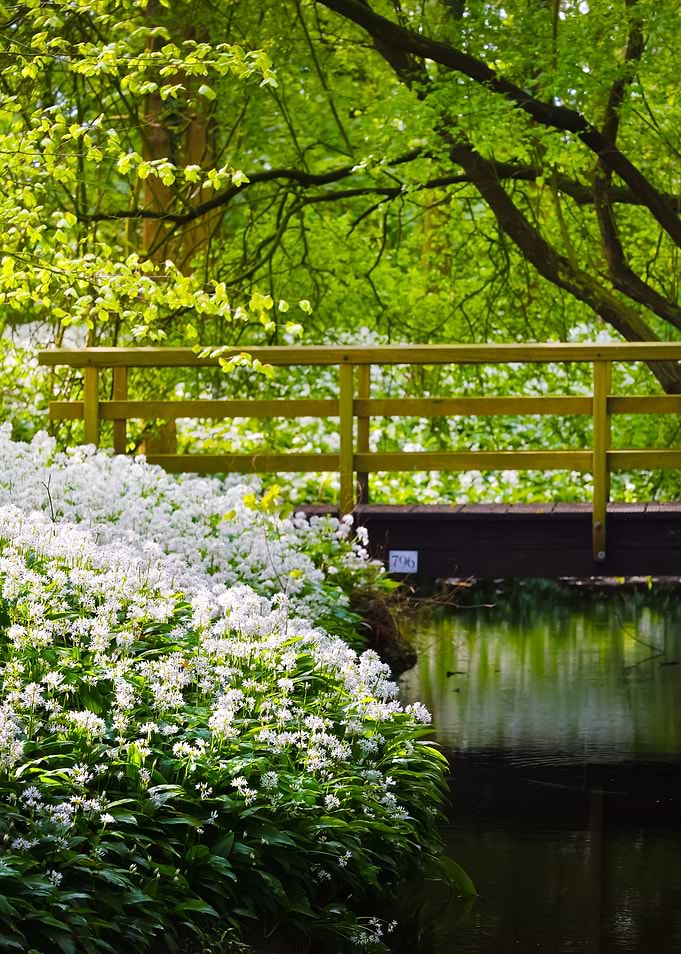 Bridge Over The River And