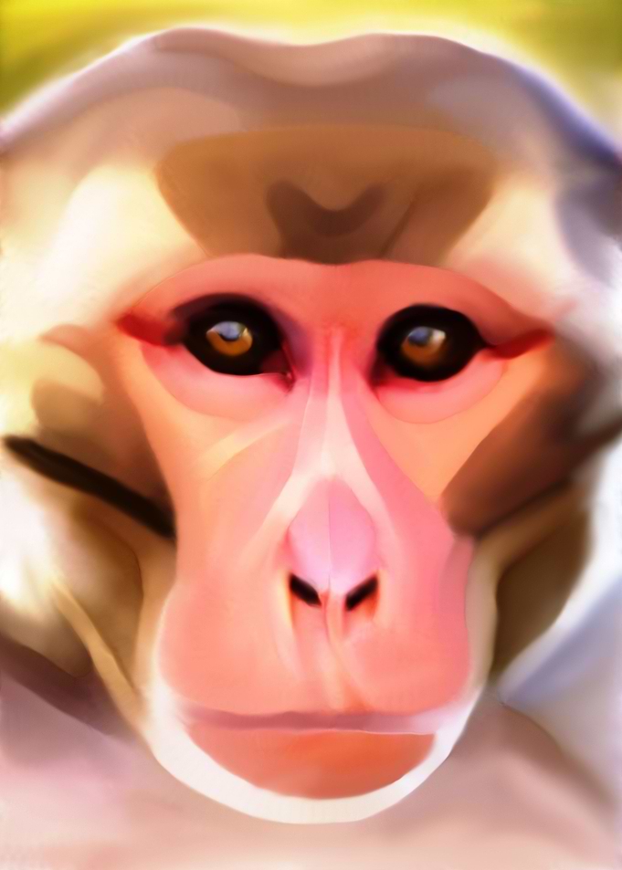 Monkey