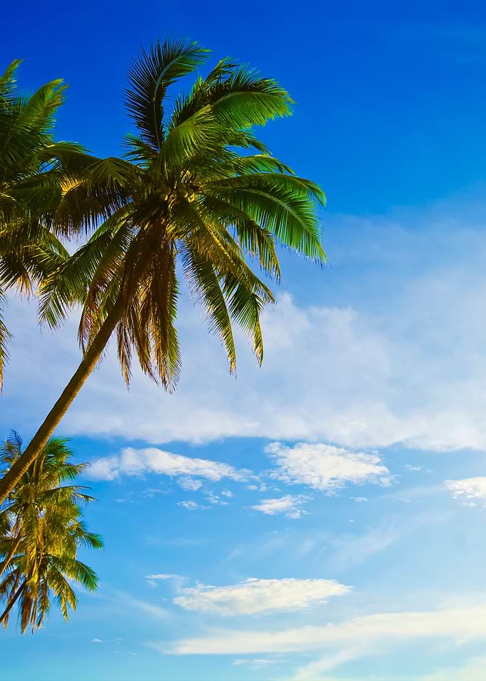 Landscape Photo Of Island