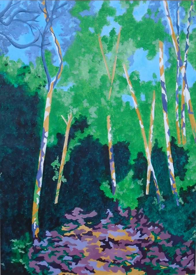 Woodland walk