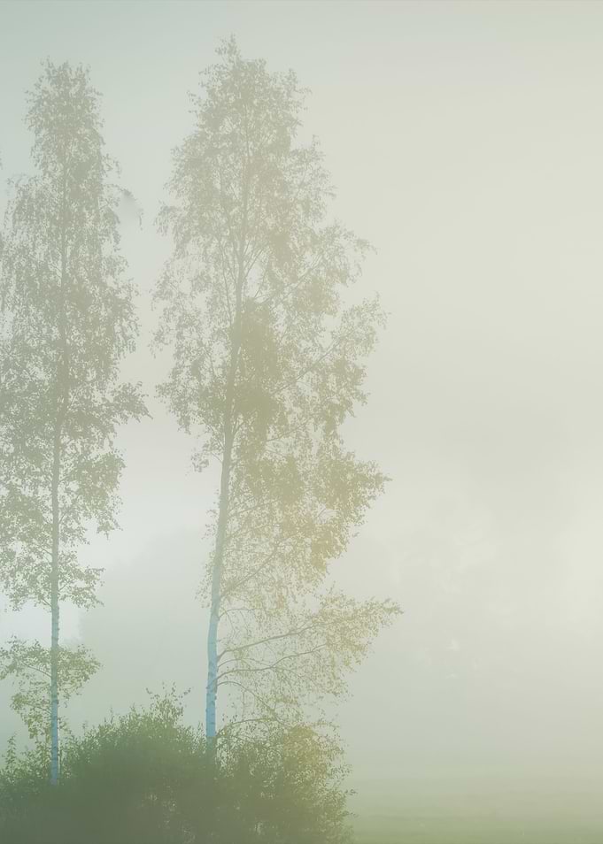 Strong Morning Fog Above T