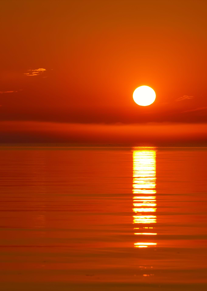 Open Baltic Sea At The Sun