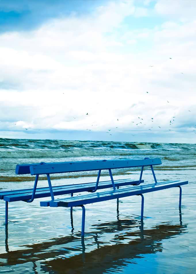 Bench On The Beach
