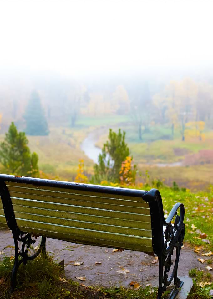 Bench At The Hill