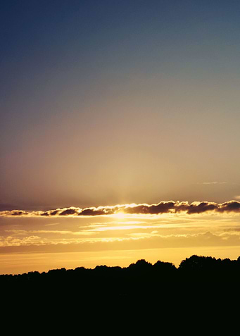 Landscape 3
