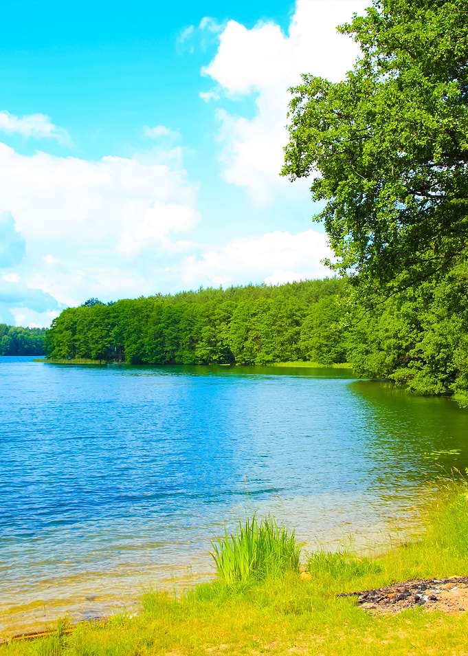 Lake Coast