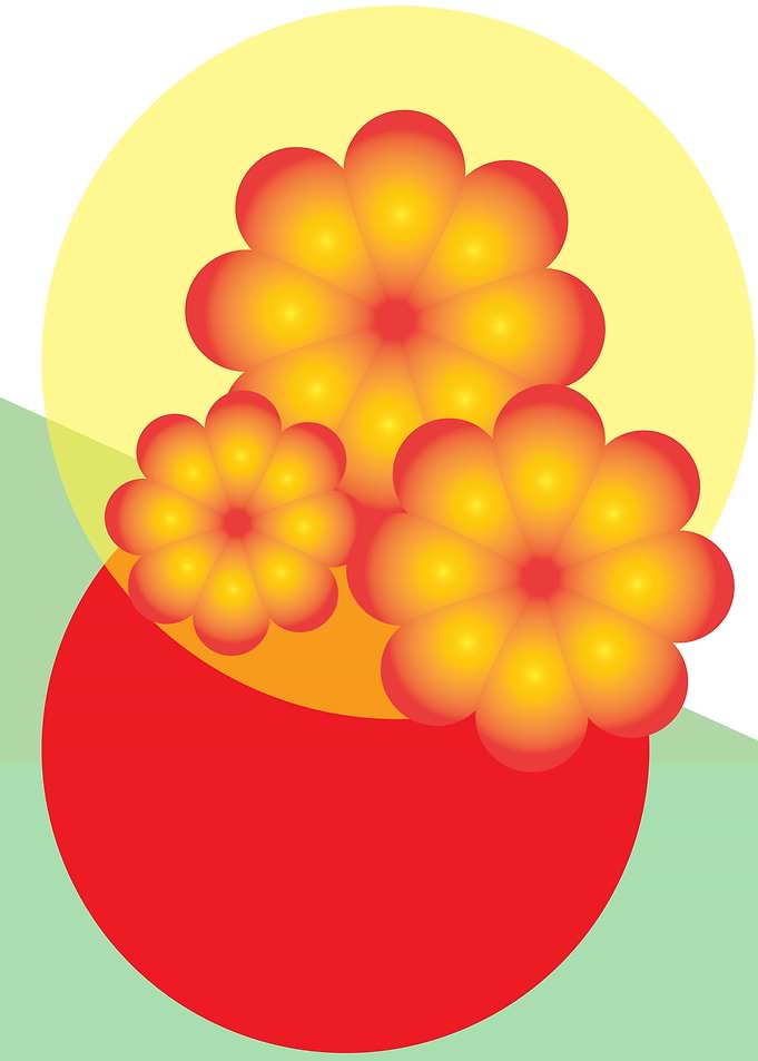 My Vase