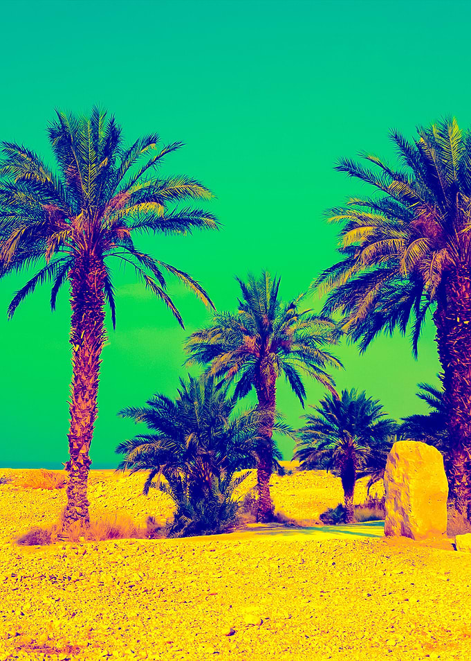 Retro Background With Palm