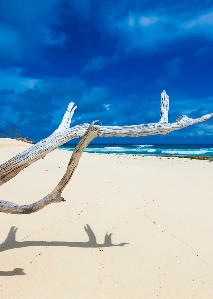 Stunning Backgrounds