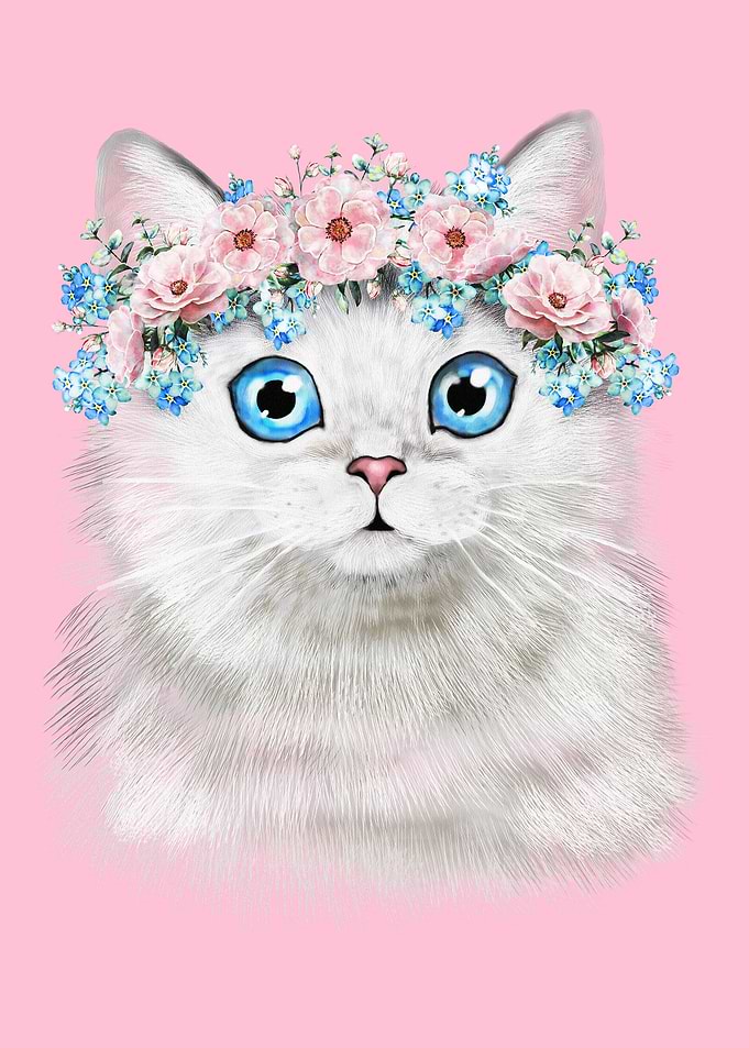 CUTEST CAT EVER