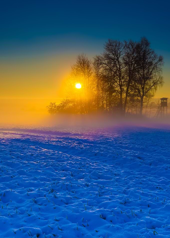 Beautiful Winter Field Lan