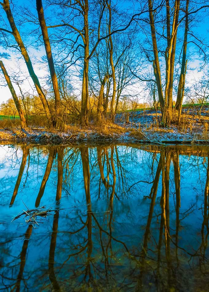 Winter River In Forest