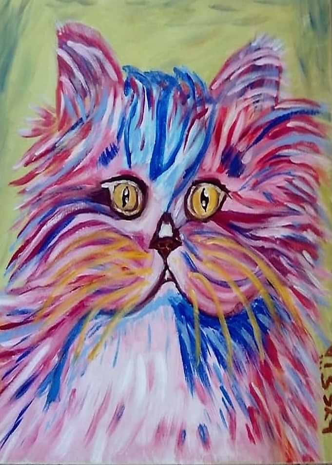 persan cat pink