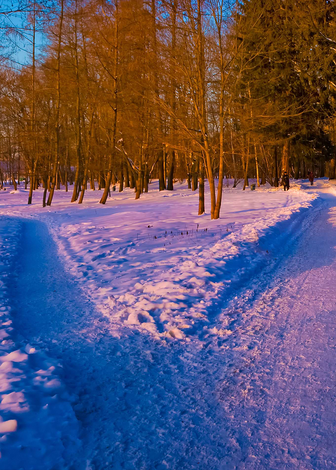 Winter Landscape