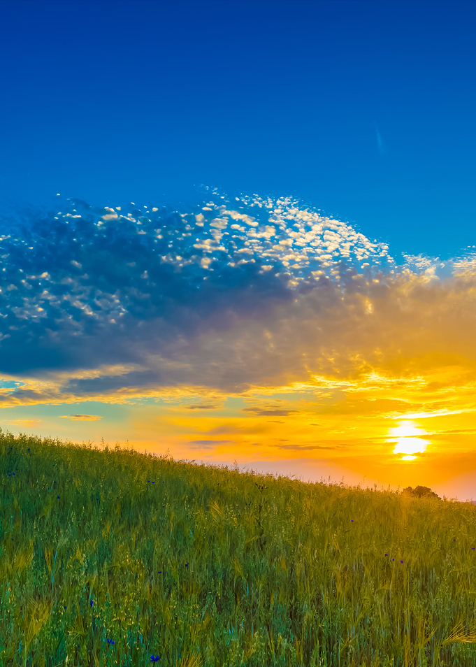Beautiful Landscape Of Sun