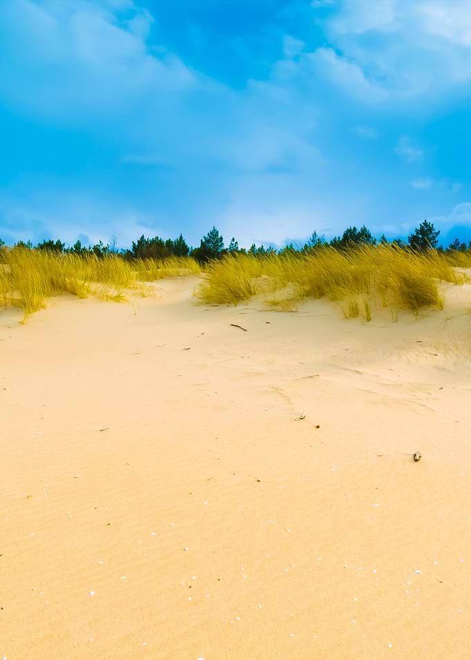 Sea Shore With Grass Beaut