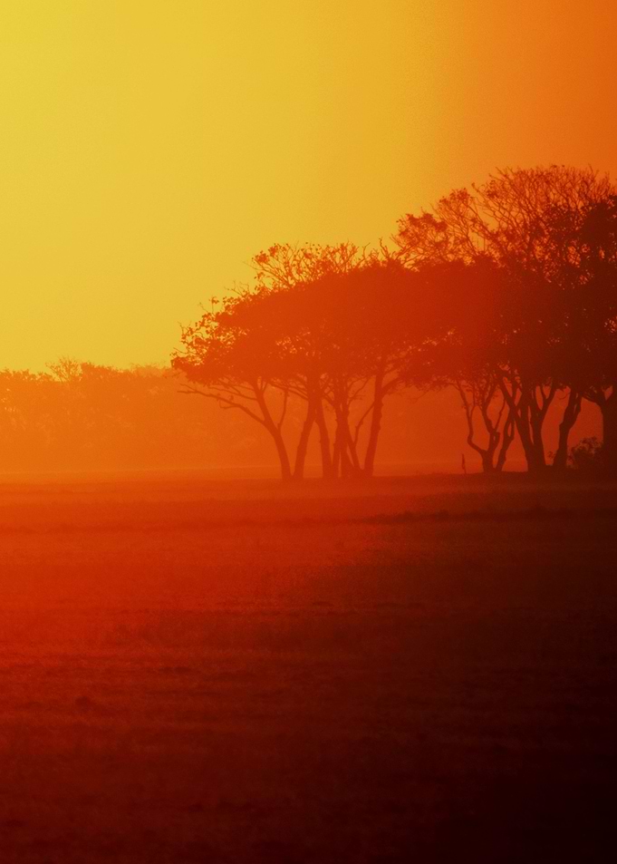 Landscape 10