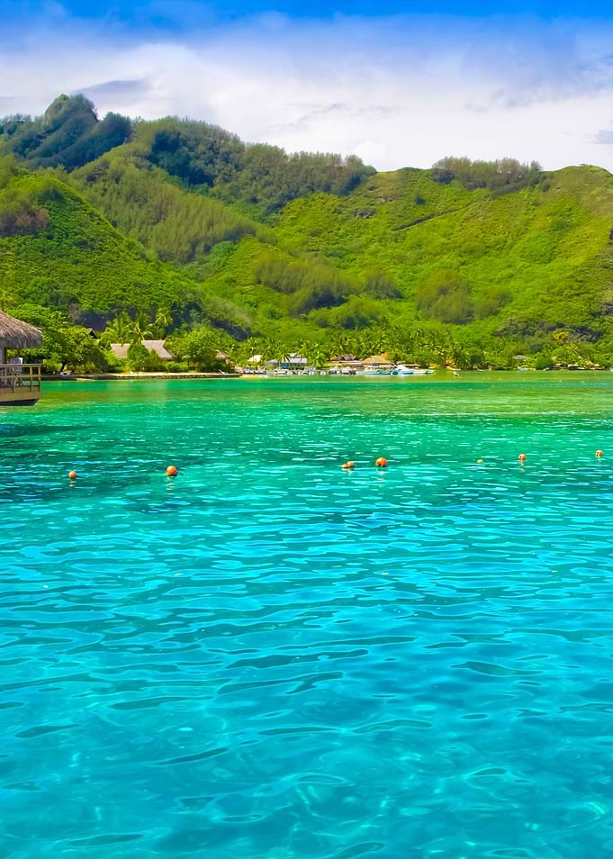 Stunning Backgrounds