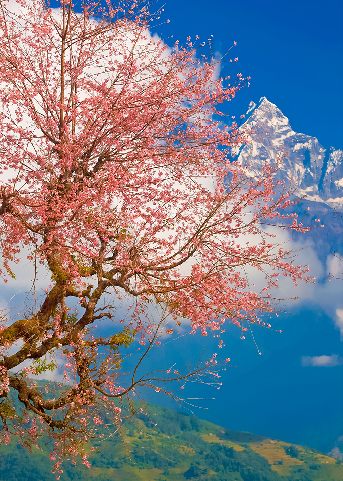Stunning Backgrounds