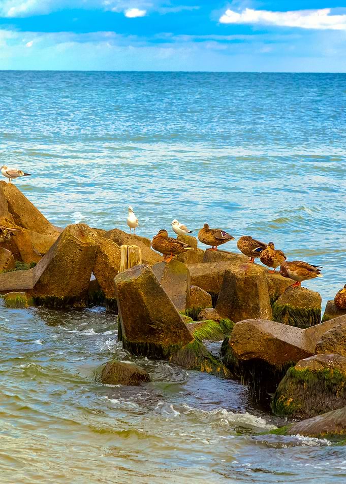 A Breakwater