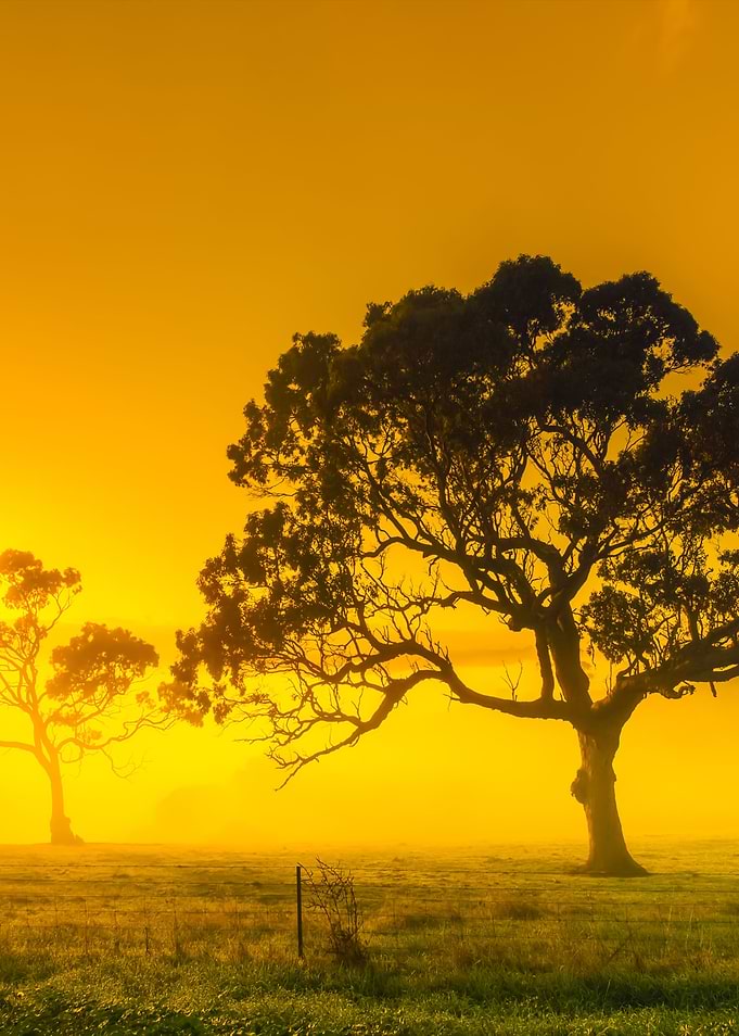 Rural Sunrise