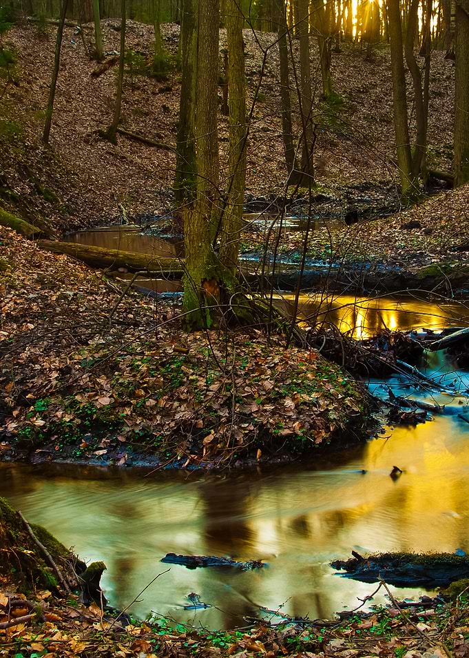 Small Wild River