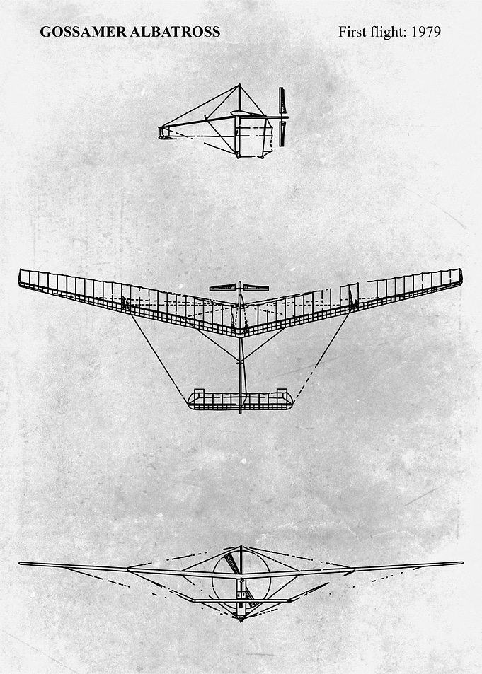 GOSSAMER ALBATROSS