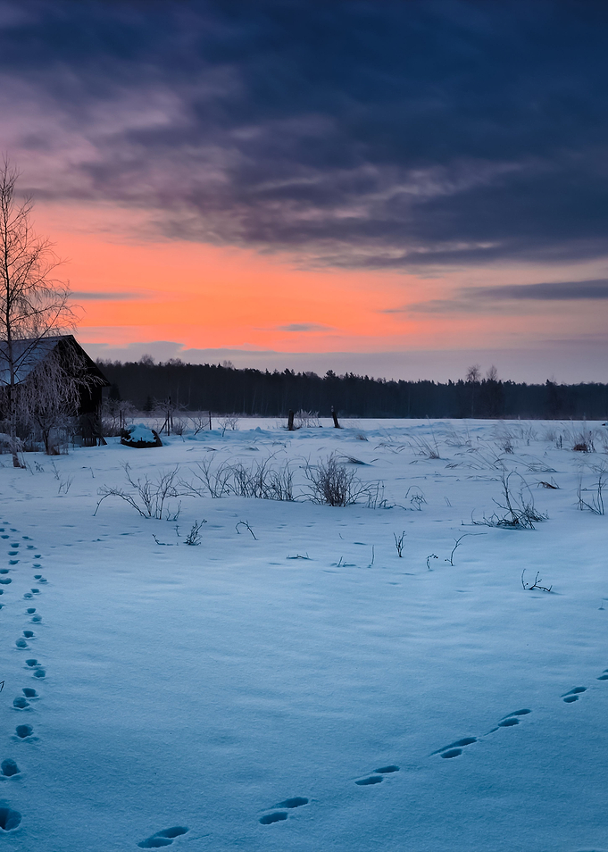 Winter Landscape With Hoar