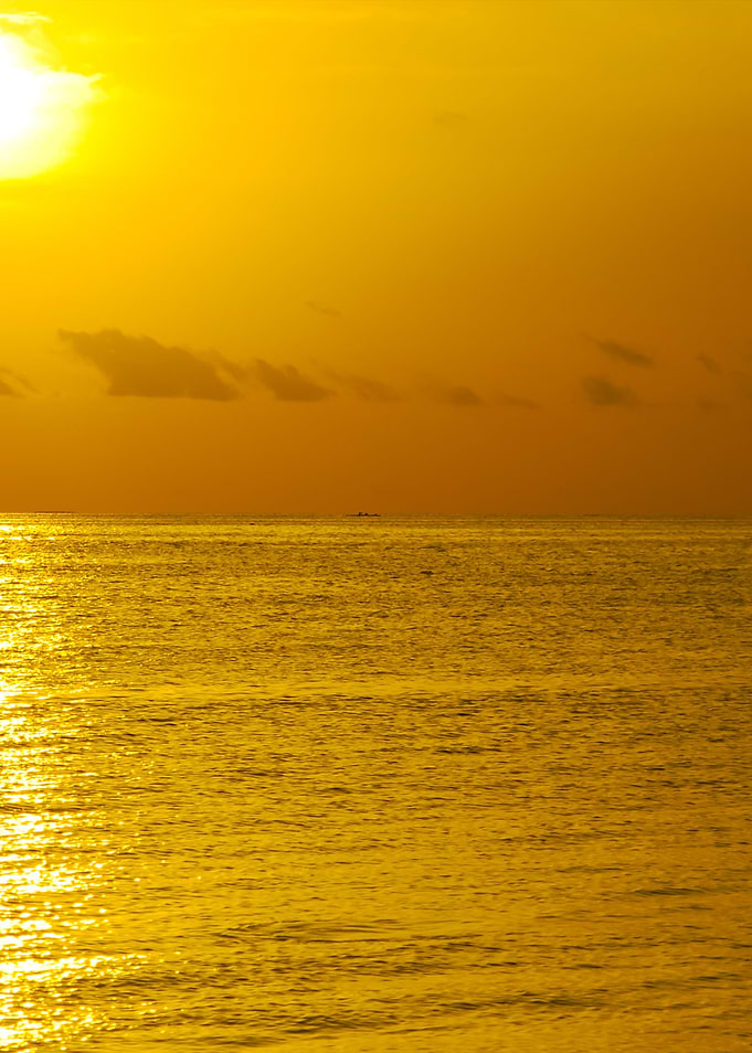 Beautiful Orange Sunset On