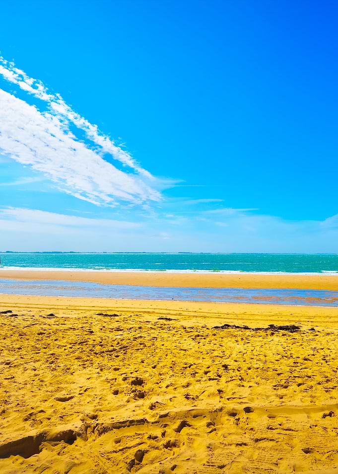 North Sea Shore In Vlissin