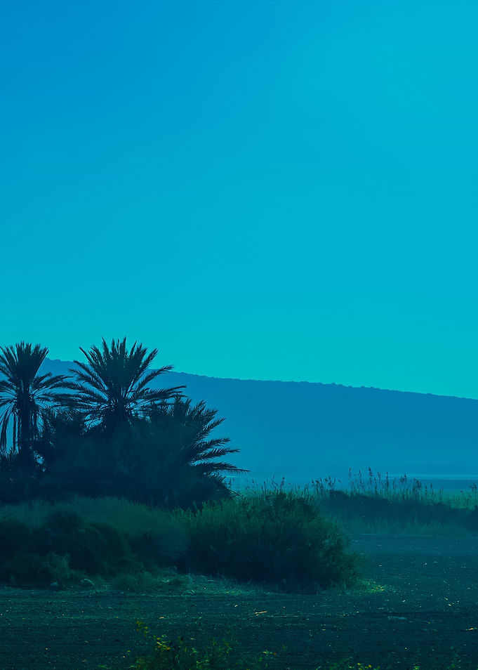 Arable Land In Israel Near