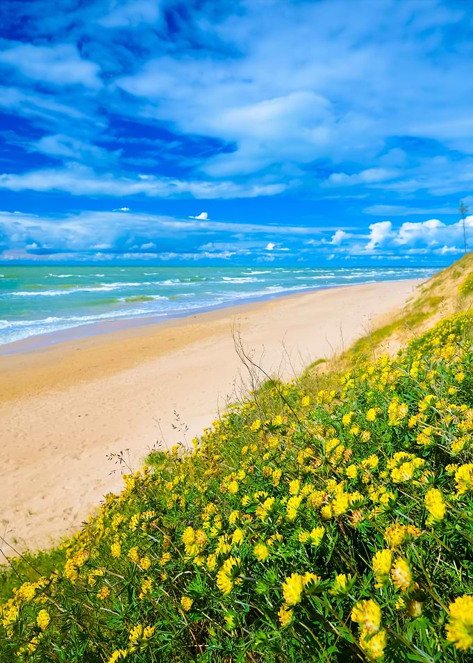 Baltic Sea Shore In Jurkal