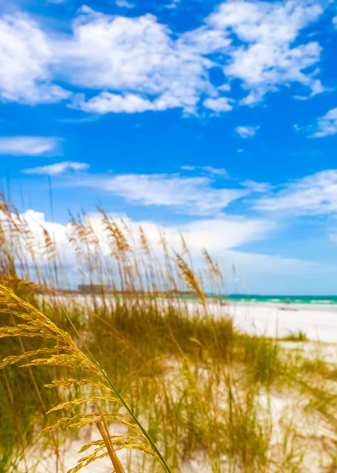 Siesta Key Beach Sarasota
