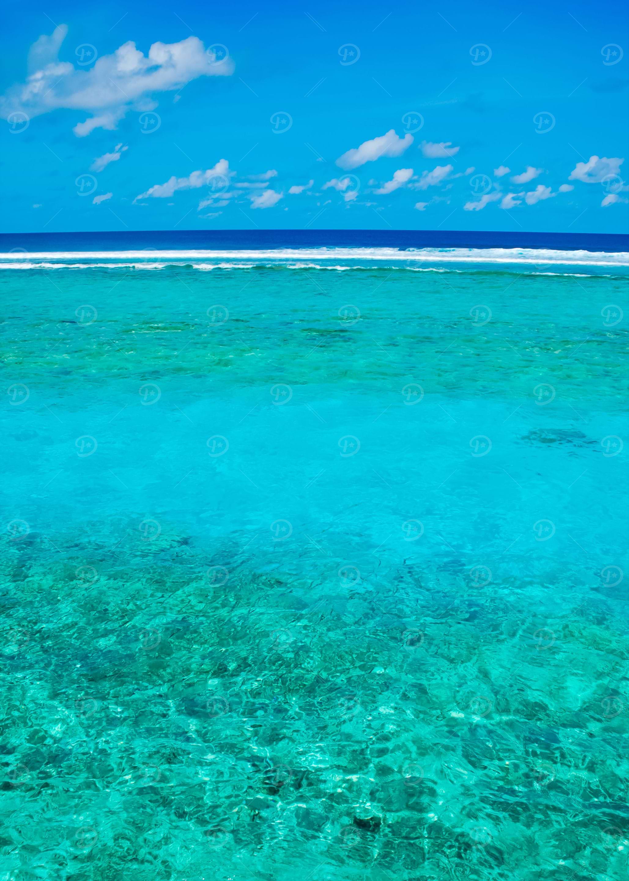 Maldives Scene With Gorgeo